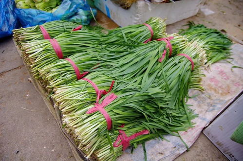 辽宁公布食品安全抽检结果 大连地利生鲜韭菜 皮皮虾不合格