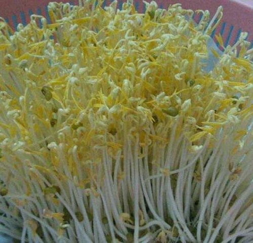 注意 海南这11批次芹菜 豆芽 海白螺等食用农产品检出农兽药残留问题