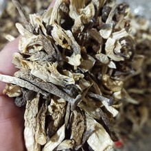 陕西商洛香菇