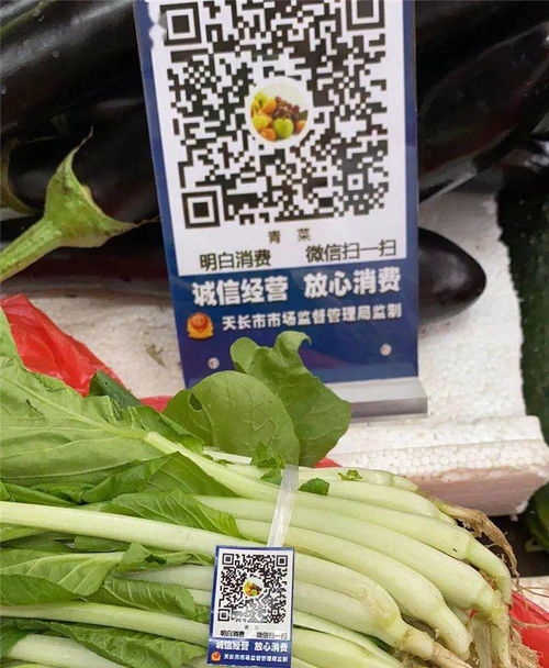 追溯资讯 厦门市小微企业追溯saas系统开放申请接入 贵州省遵义市重要产品追溯体系建设工作会议召开等