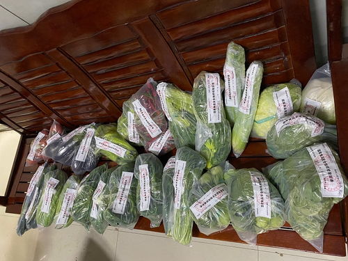 阳朔县市场监管局 开展食用农产品监... 阳朔动态 阳朔县人民政府门户网站